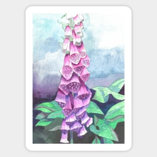 Foxglove watercolour flower painting Sticker